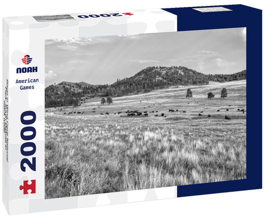 Noah Jigsaw Puzzle Bison in Wind Cave National Park, South Dakota in black white 2000 pieces