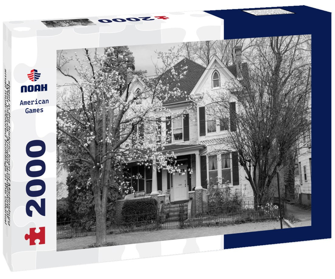 Noah Jigsaw Puzzle street in the historic town of Martinsburg, West Virginia. Ancient architecture of small multi-colored buildings in the colonial style in black white 2000 pieces