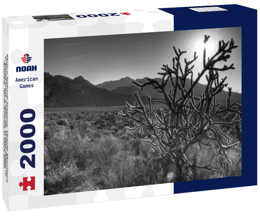 Noah Jigsaw Puzzle Mojave National Preserve, Granite Mountains in background, California, United States of America, North America in black white 2000 pieces