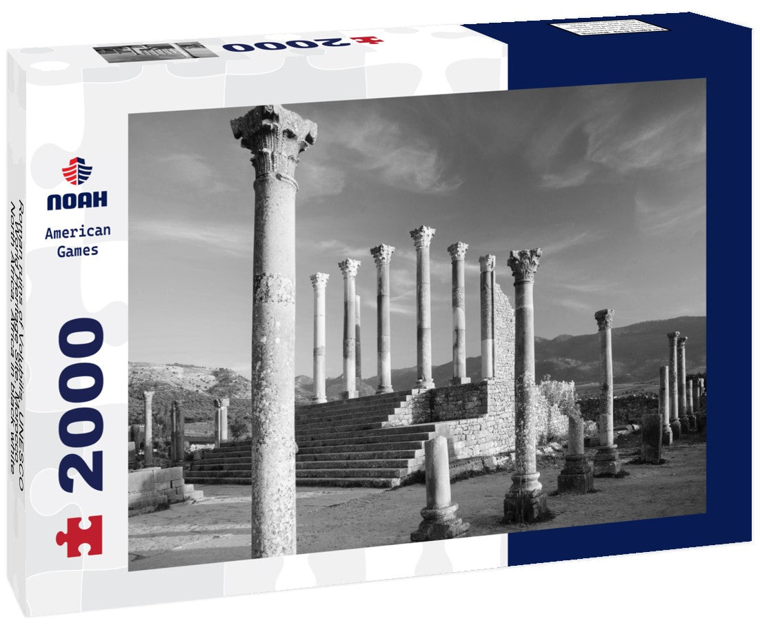 Noah Jigsaw Puzzle Roman ruins of Volubilis, UNESCO World Heritage Site, Morocco, North Africa, Africa in black white 2000 pieces