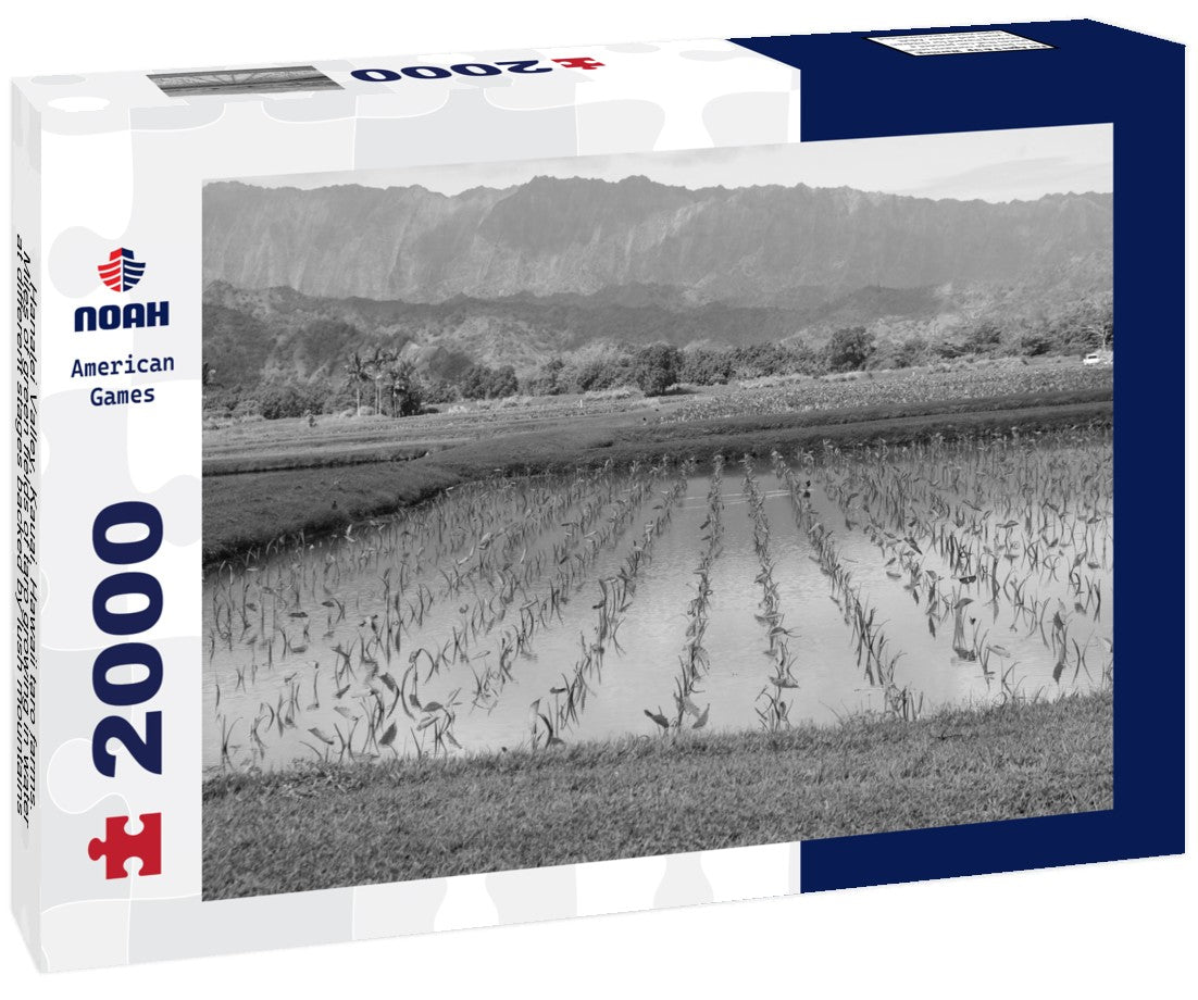 Noah Jigsaw Puzzle Hanalei Valley, Kauai, Hawaii taro farms. Miles of green fields of taro growing in water at different stages backed by lush mountains and blue cloud sky in black white 2000 pieces