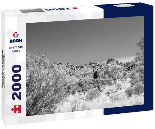 Noah Jigsaw Puzzle Outback Landscape, Northern Territory, Australia in black white 2000 pieces