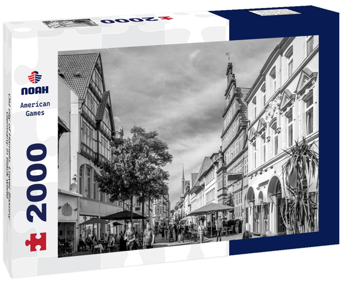 Noah Jigsaw Puzzle Old city of Hameln, Lower Saxony, Germany in black white 2000 pieces