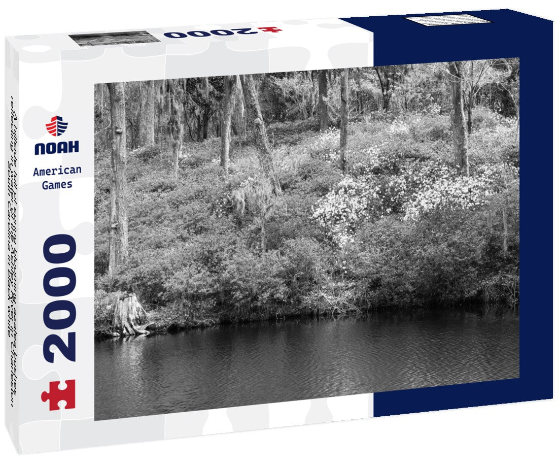 Noah Jigsaw Puzzle A hillside full of spring blooming azalea bushes reflecting in water of the Ashley River in Charleston, South Carolina in black white 2000 pieces