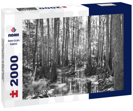 Noah Jigsaw Puzzle Beautiful trees in the marshes of Congaree National Park, South Carolina in black white 2000 pieces