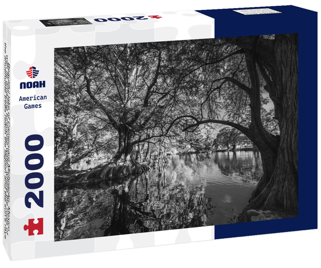 Noah Jigsaw Puzzle Beautiful lake of Camecuaro Michoacán, Mexico, with its amazing turquoise water, where the roots of the ahuehuete trees reach the lagoon and the sun's rays pass through the branches of the trees in black white 2000 pieces