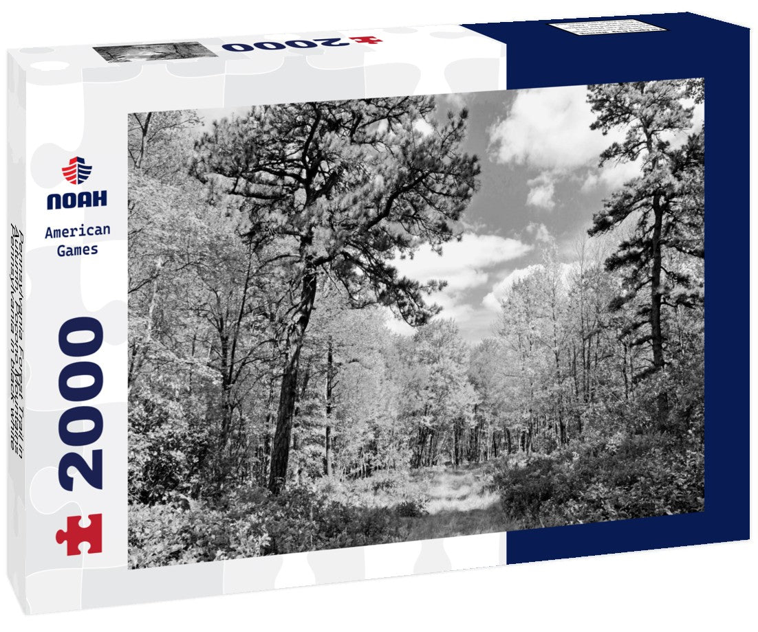 Noah Jigsaw Puzzle Pennsylvania Forest Trail in Autumn, Pocono Mountains, Pennsylvania in black white 2000 pieces
