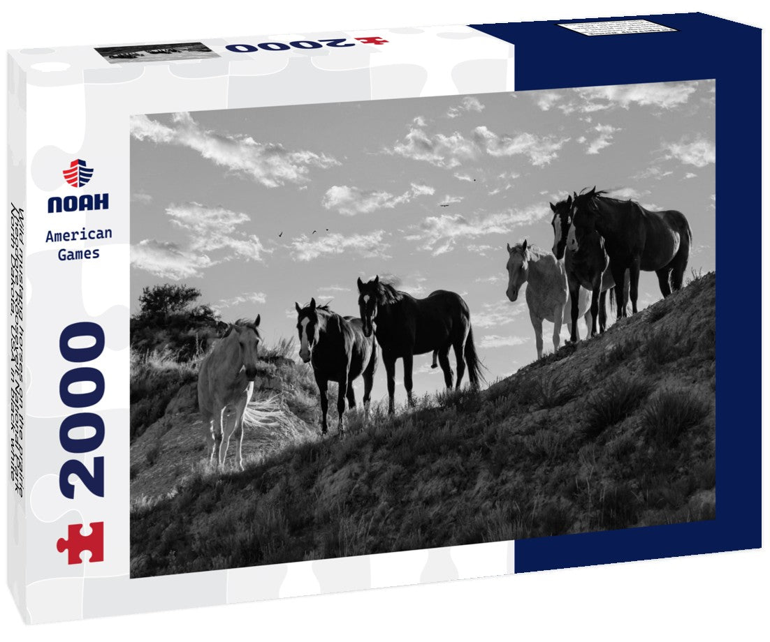 Noah Jigsaw Puzzle Wild mustang horses on the prairie, Theodore Roosevelt National Park, North Dakota, USA in black white 2000 pieces