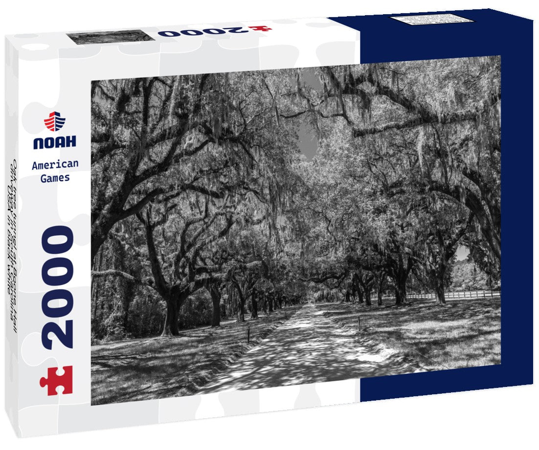 Noah Jigsaw Puzzle Oak tree tunnel at Boone Hall driveway in South Carolina, USA in black white 2000 pieces