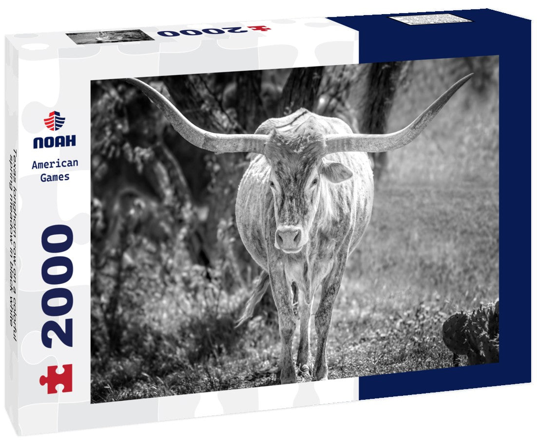 Noah Jigsaw Puzzle Texas longhorn cow on a colorful spring meadow in black white 2000 pieces