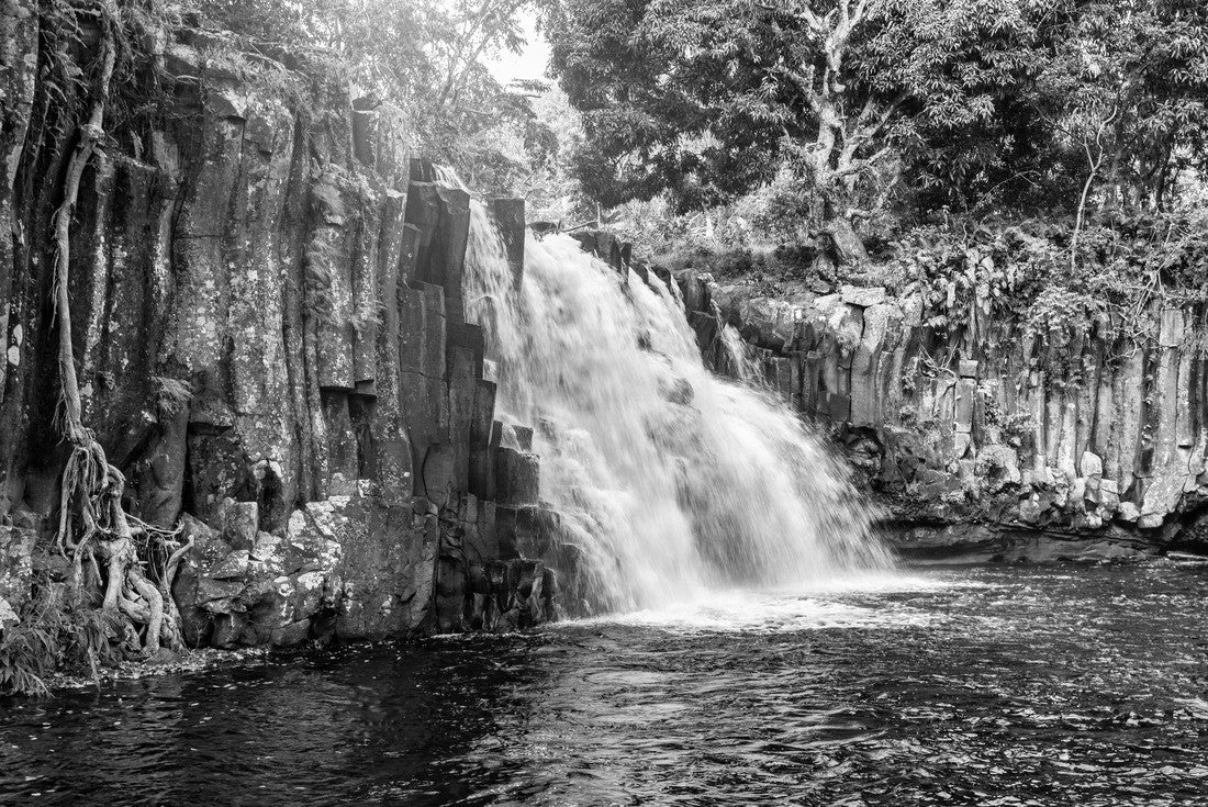 Noah Jigsaw Puzzle Rochester falls on the island of Mauritius. Waterfall in the jungle of the tropical island of Mauritius. Hidden treasure Rochester falls in Mauritius Island. Rochester Falls in Souillac Mauritius in black white 2000 pieces