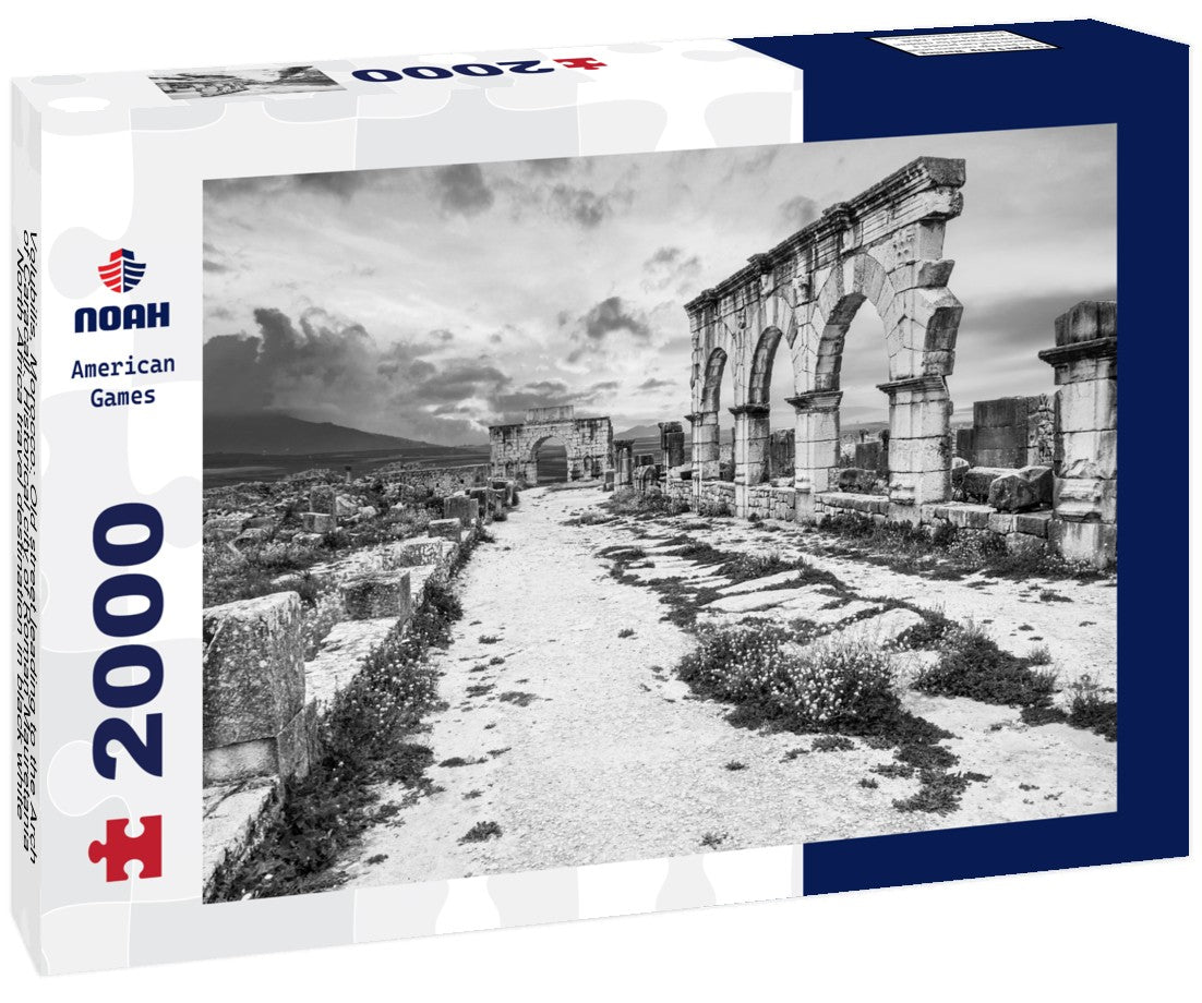 Noah Jigsaw Puzzle Volubilis, Morocco: Old street leading to the Arch of Caracall. Historical city of Roman Mauretania, North Africa travel destination in black white 2000 pieces