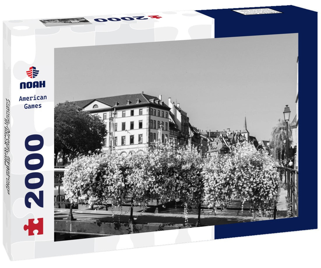 Noah Jigsaw Puzzle France, Alsace, Strasbourg, panoramic view of the city in black white 2000 pieces