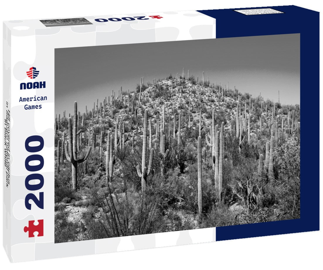 Noah Jigsaw Puzzle Hill covered in cactus in Saguaro national park in black white 2000 pieces