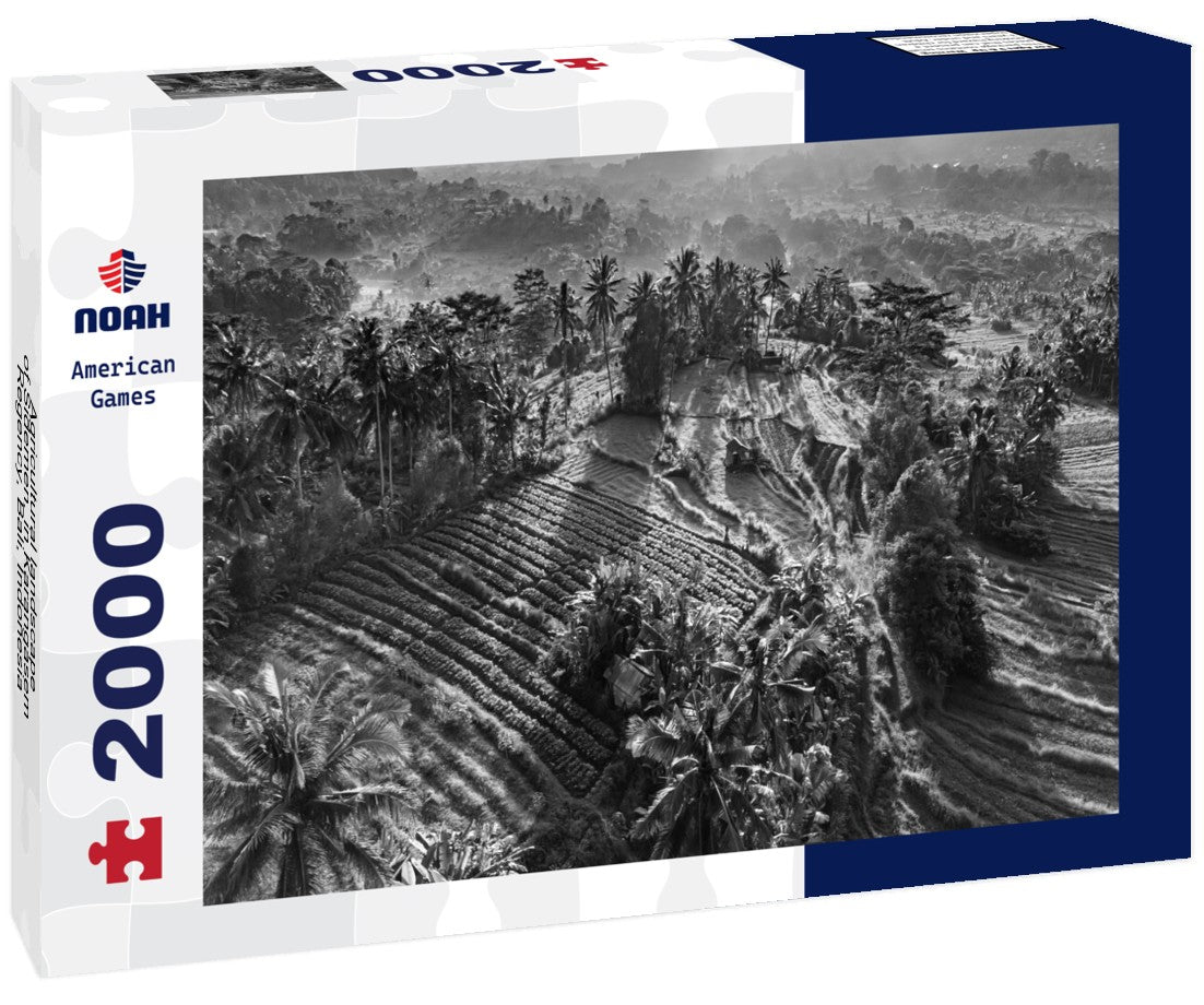 Noah Jigsaw Puzzle Agricultural landscape of Sidemen, in Karangasem Regency, Bali, Indonesia in black white 2000 pieces
