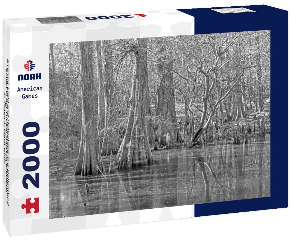 Noah Jigsaw Puzzle Evening Light and Reflections in a Bottomland Forest in Big Thicket National Preserve in Texas in black white 2000 pieces
