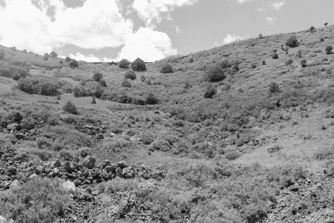 Capulin Volcano U.S. National Monument located in northeastern New Mexico that protects and interprets an extinct cinder cone volcano and is part of the Raton-Clayton volcanic field 2000pc PuzzleBlack and White