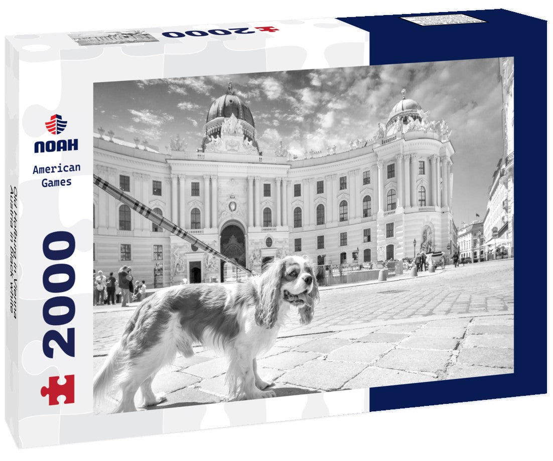 Noah Jigsaw Puzzle Old Hofburg in Vienna, Austria in black white 2000 pieces