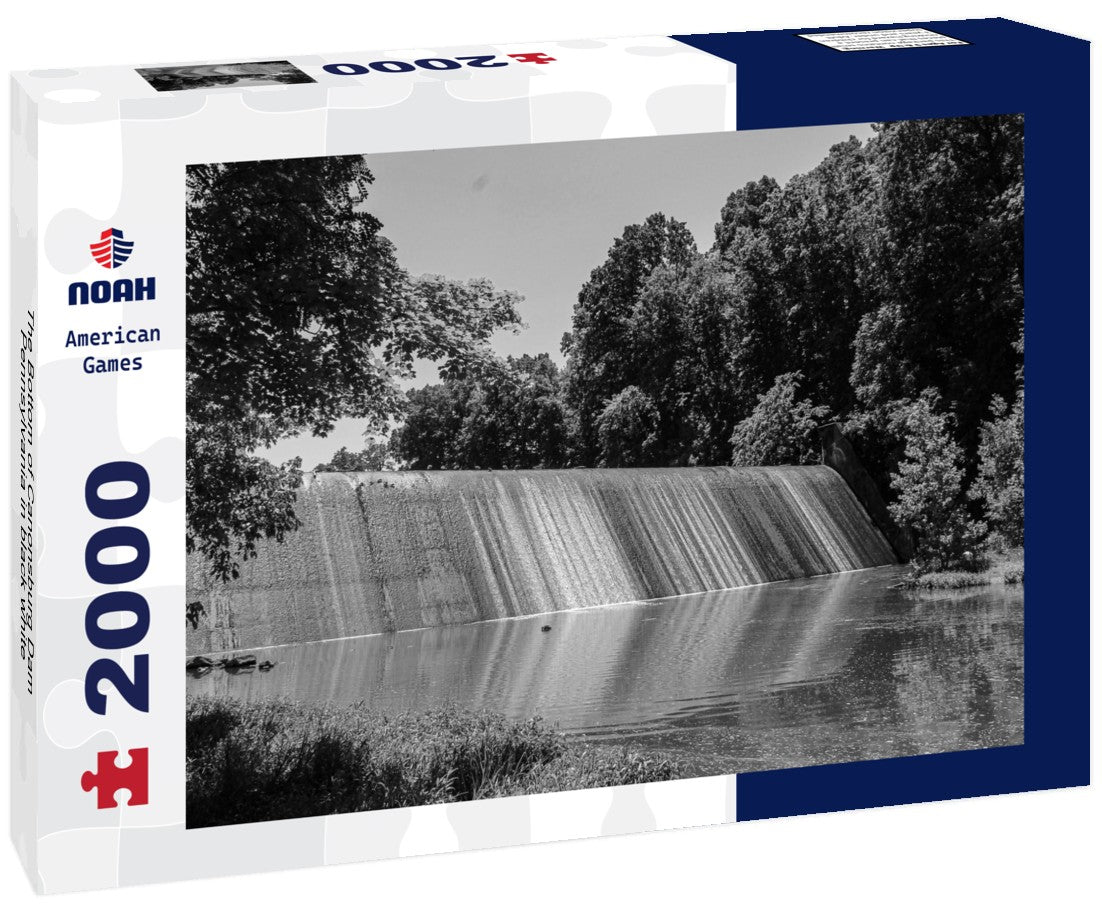 Noah Jigsaw Puzzle The Bottom of Canonsburg Dam Pennsylvania in black white 2000 pieces