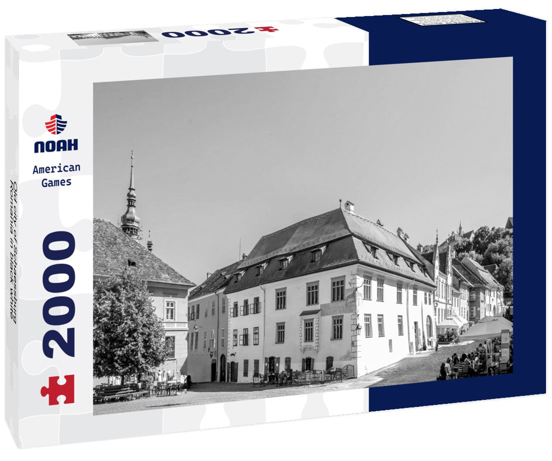 Noah Jigsaw Puzzle Old city of Schaessburg, Romania in black white 2000 pieces