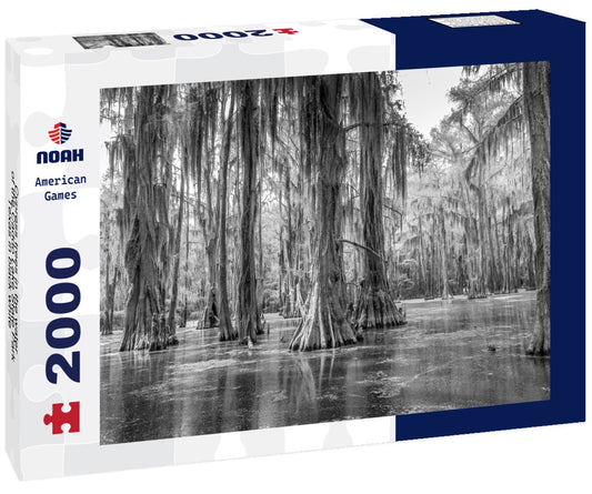 Noah Jigsaw Puzzle Cypress trees in the water of the Caddo Lake State Park, Texas in black white 2000 pieces