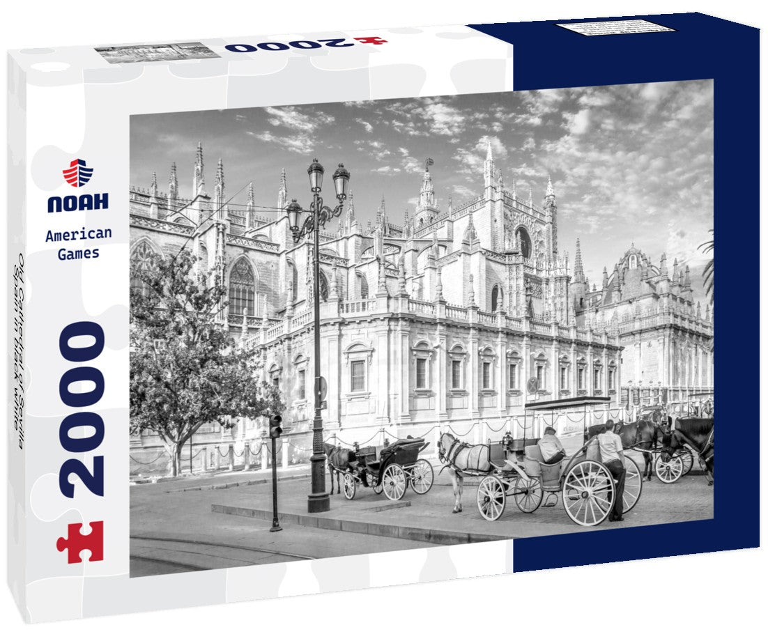Noah Jigsaw Puzzle Old Cathedral of Sevilla, Spain in black white 2000 pieces