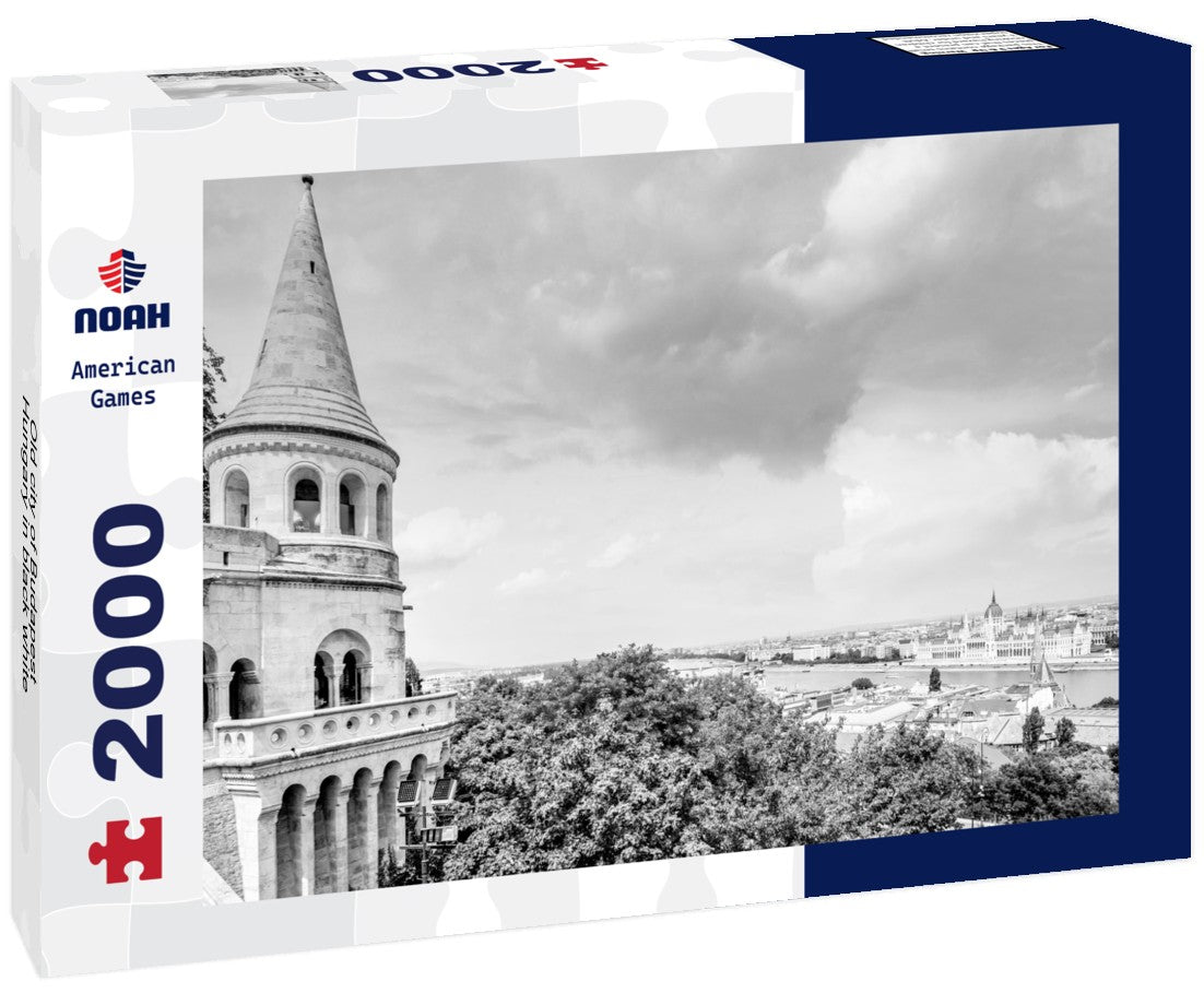 Noah Jigsaw Puzzle Old city of Budapest, Hungary in black white 2000 pieces