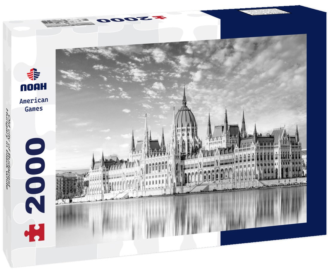 Noah Jigsaw Puzzle Old city of Budapest, Hungary in black white 2000 pieces