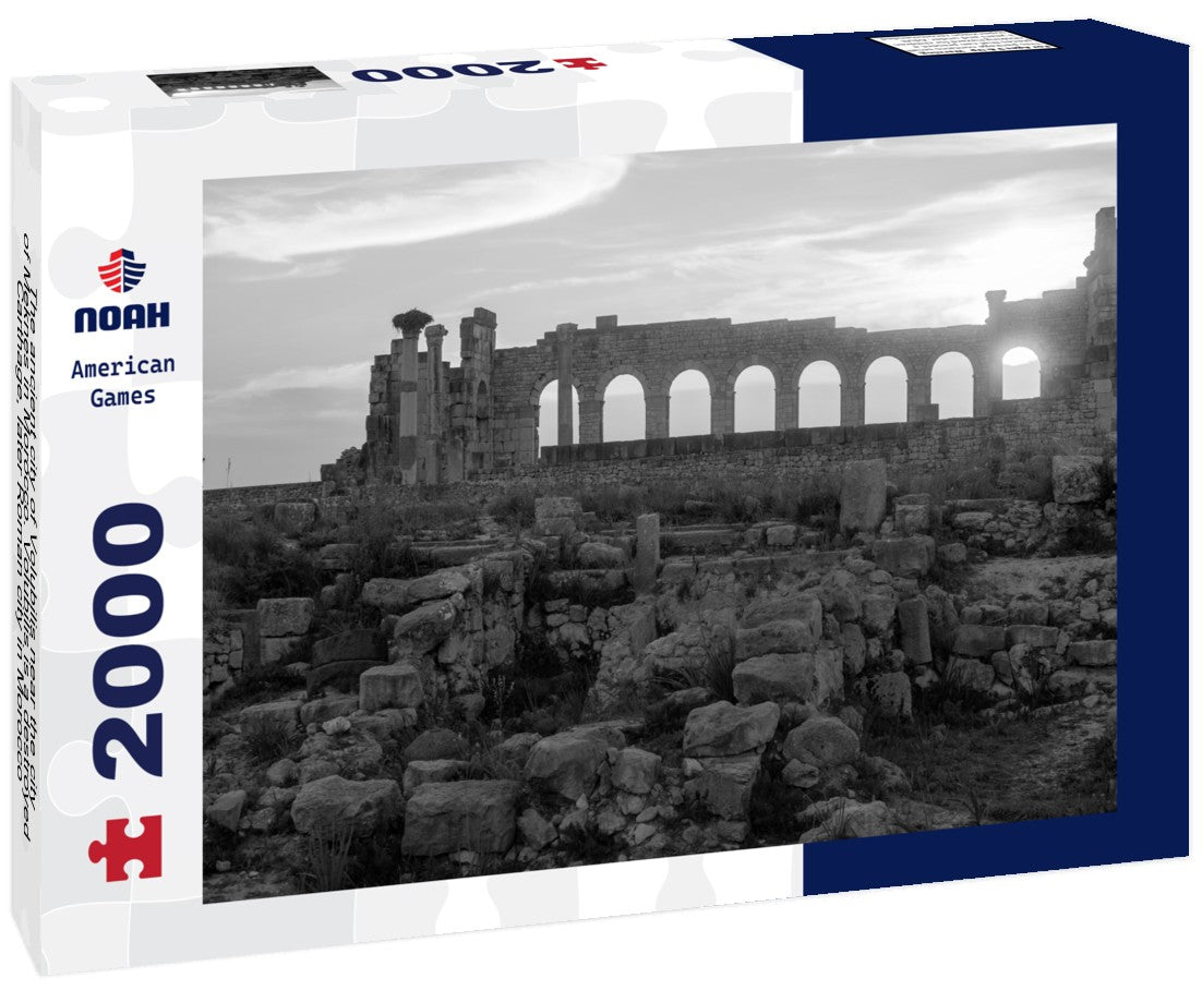 Noah Jigsaw Puzzle The ancient city of Volubilis near the city of Meknes in Morocco. Volubilis is a destroyed Carthage, later Roman city in Morocco, where Meknes is a UNESCO in black white 2000 pieces