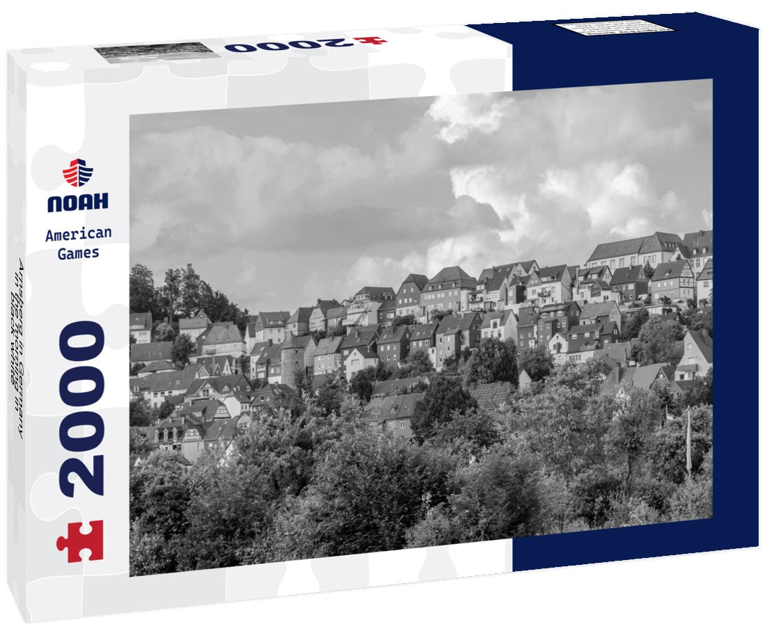 Noah Jigsaw Puzzle Arnsberg in Germany in the morning in black white 2000 pieces