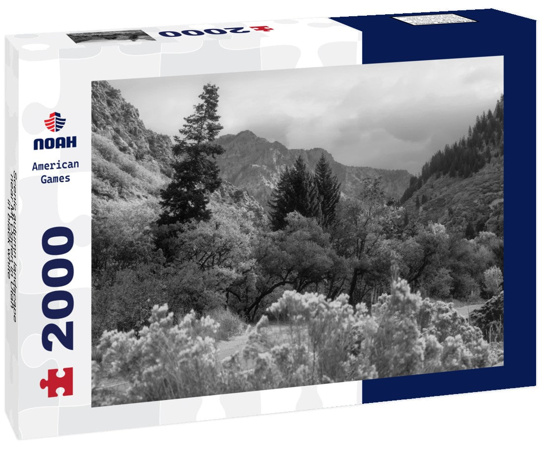 Noah Jigsaw Puzzle Scenic autumn landscape near Mt Ogden in Utah in black white 2000 pieces