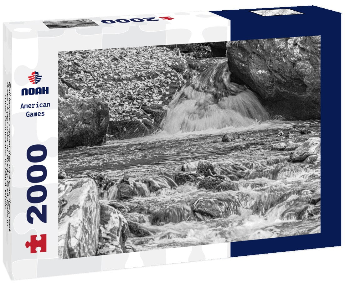 Noah Jigsaw Puzzle Fall leaves carpet the rocks as the creek flows down river at Rocky Fork Falls in rural Tennessee in black white 2000 pieces