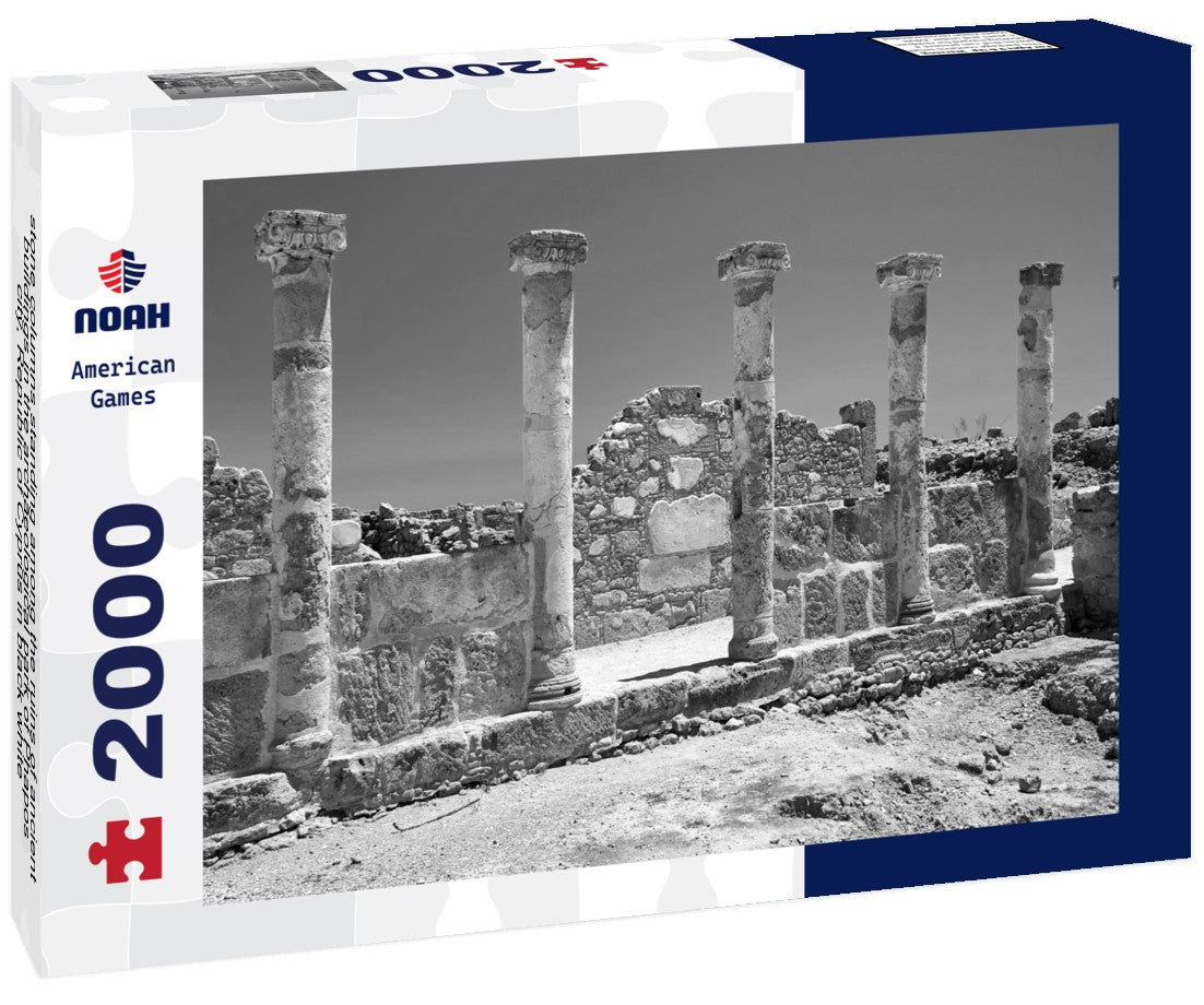 Noah Jigsaw Puzzle stone columns standing among the ruins of ancient buildings in the archaeological park of Phapos city, Republic of Cyprus in black white 2000 pieces