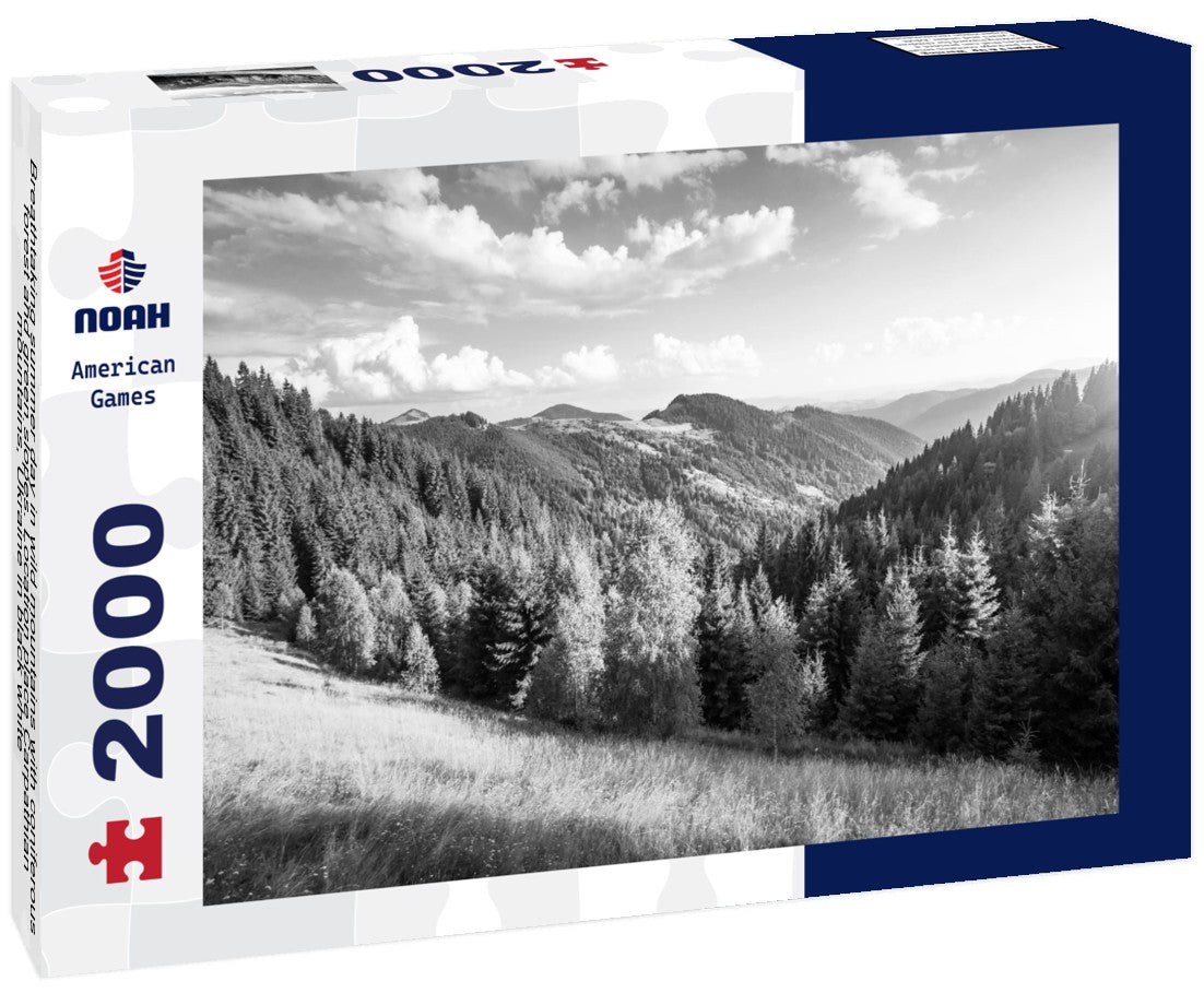 Noah Jigsaw Puzzle Breathtaking summer day in wild mountains with coniferous forest and green slopes. Location place Carpathian mountains, Ukraine in black white 2000 pieces