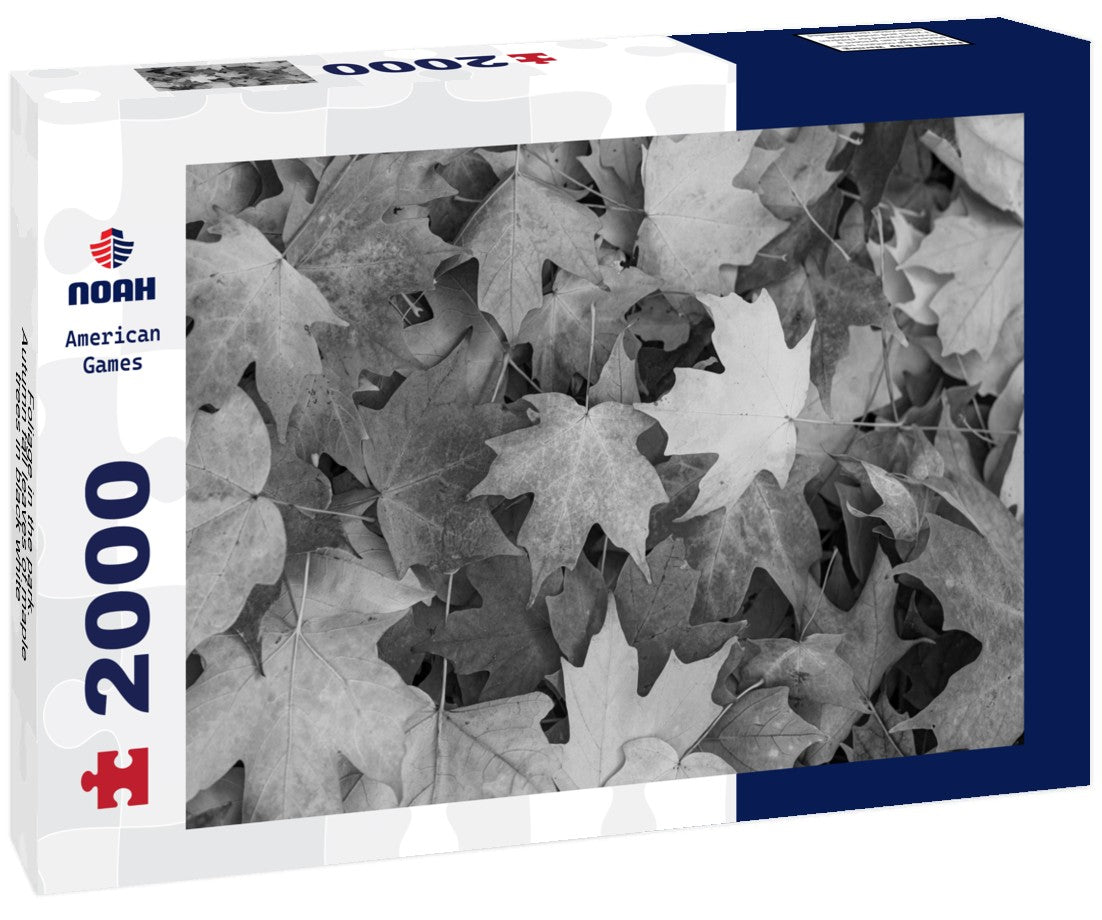 Noah Jigsaw Puzzle Foliage in the park. Autumn fall leaves of maple trees in black white 2000 pieces