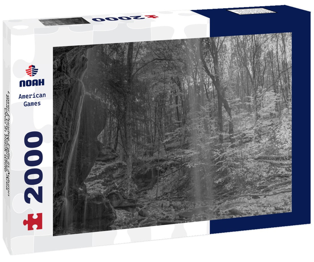 Noah Jigsaw Puzzle Lower Dundee Falls in Autumn, Beach City Wilderness Area, Ohio in black white 2000 pieces