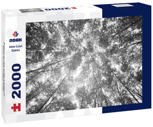 Noah Jigsaw Puzzle Bottom-up view green mangrove forest canopy in black white 2000 pieces