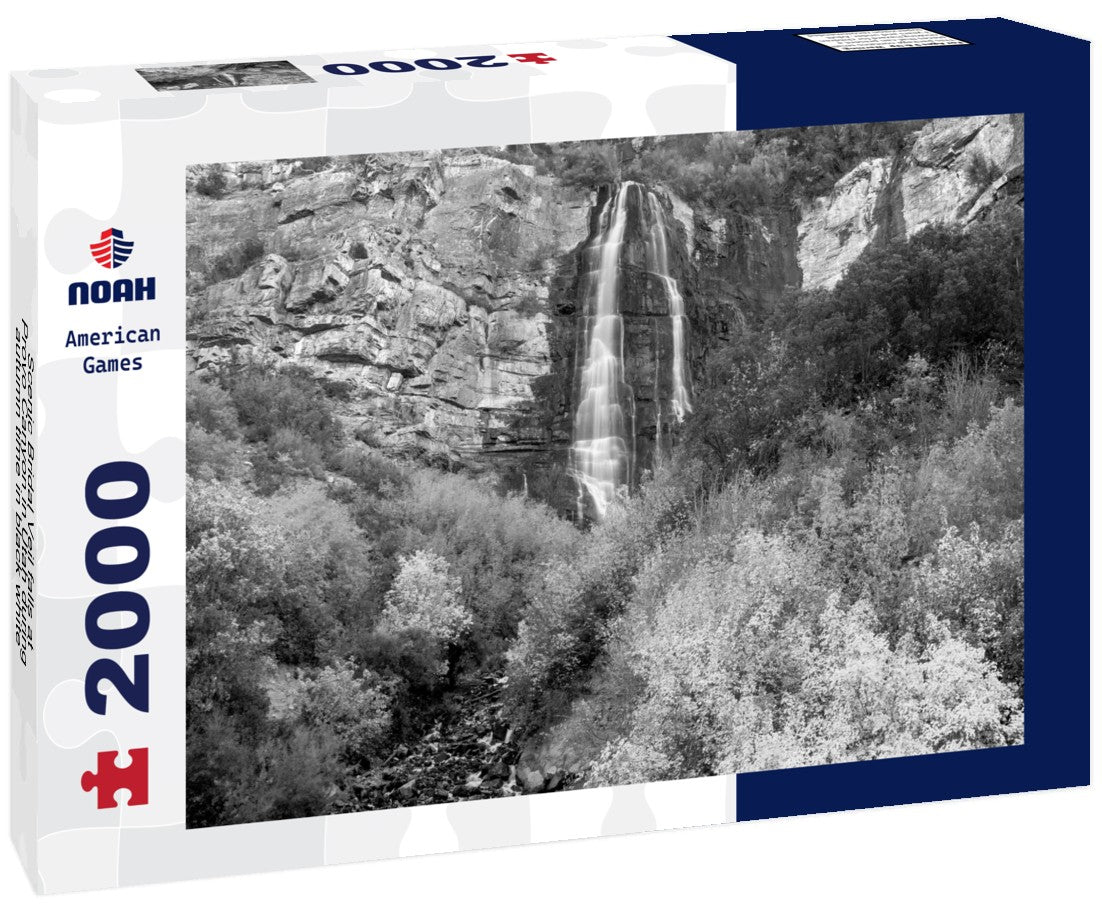Noah Jigsaw Puzzle Scenic Bridal Veil falls at Provo Canyon in Utah during autumn time in black white 2000 pieces