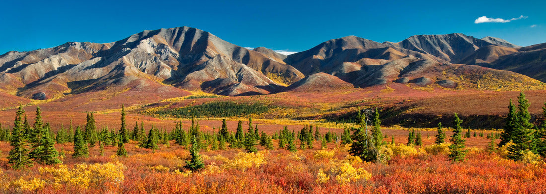 Noah Jigsaw Puzzle Denali National Park in autumn panorama 1000 pieces