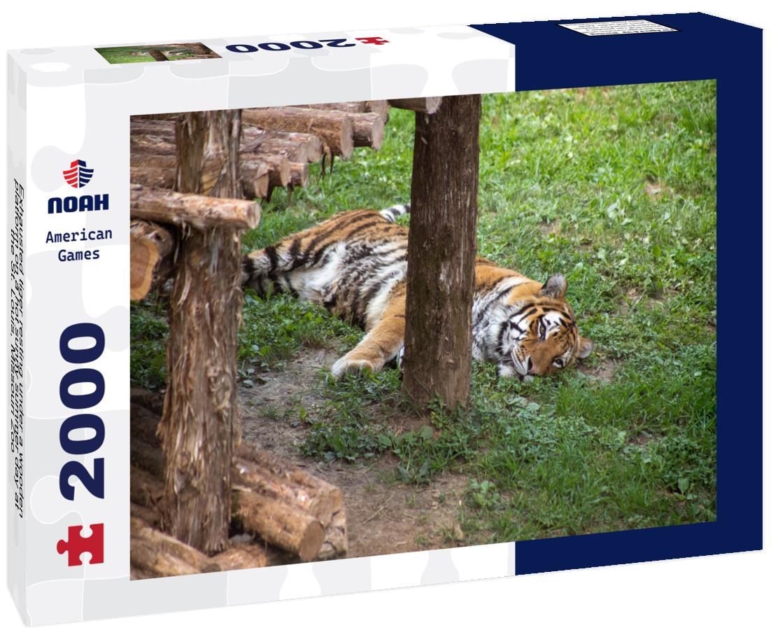 Noah Jigsaw Puzzle Exhausted tiger resting under a wooden platform on a hot sunny summer day at the St. Louis, Missouri Zoo 2000 pieces