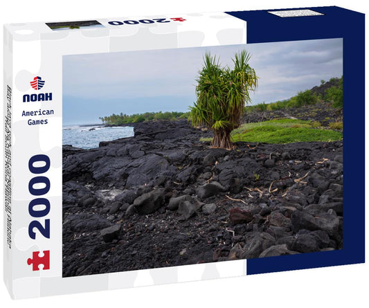 Noah Jigsaw Puzzle Black lava rock and coastline at Alahaka Bay along Ala Kahakai National Historic Trail South Kona Hawaii 2000 pieces