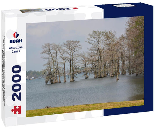 Noah Jigsaw Puzzle Moss draped Cypress trees in Lake Bruin on the Mississippi River at St Joseph, Tensas Parish, Louisiana 2000 pieces