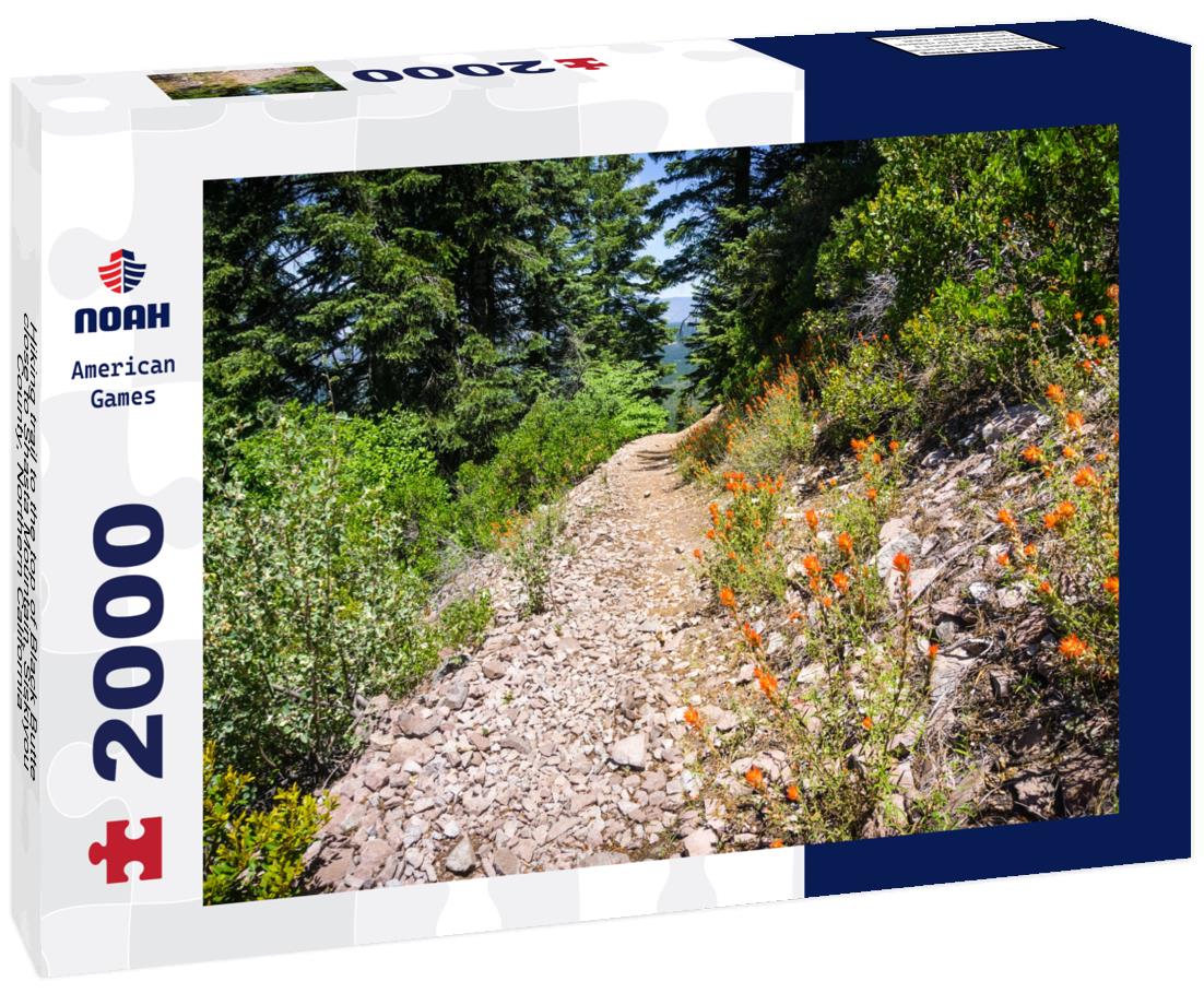 Noah Jigsaw Puzzle Hiking trail to the top of Black Butte, close to Shasta Mountain, Siskiyou County, Northern California 2000 pieces