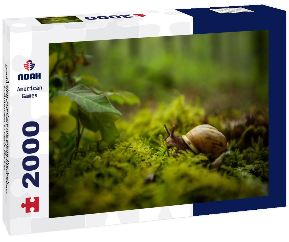 Noah Jigsaw Puzzle A slow snail crawls along the lush green moss of the Ozark mountain forest in Arkansas in early Spring 2000 pieces