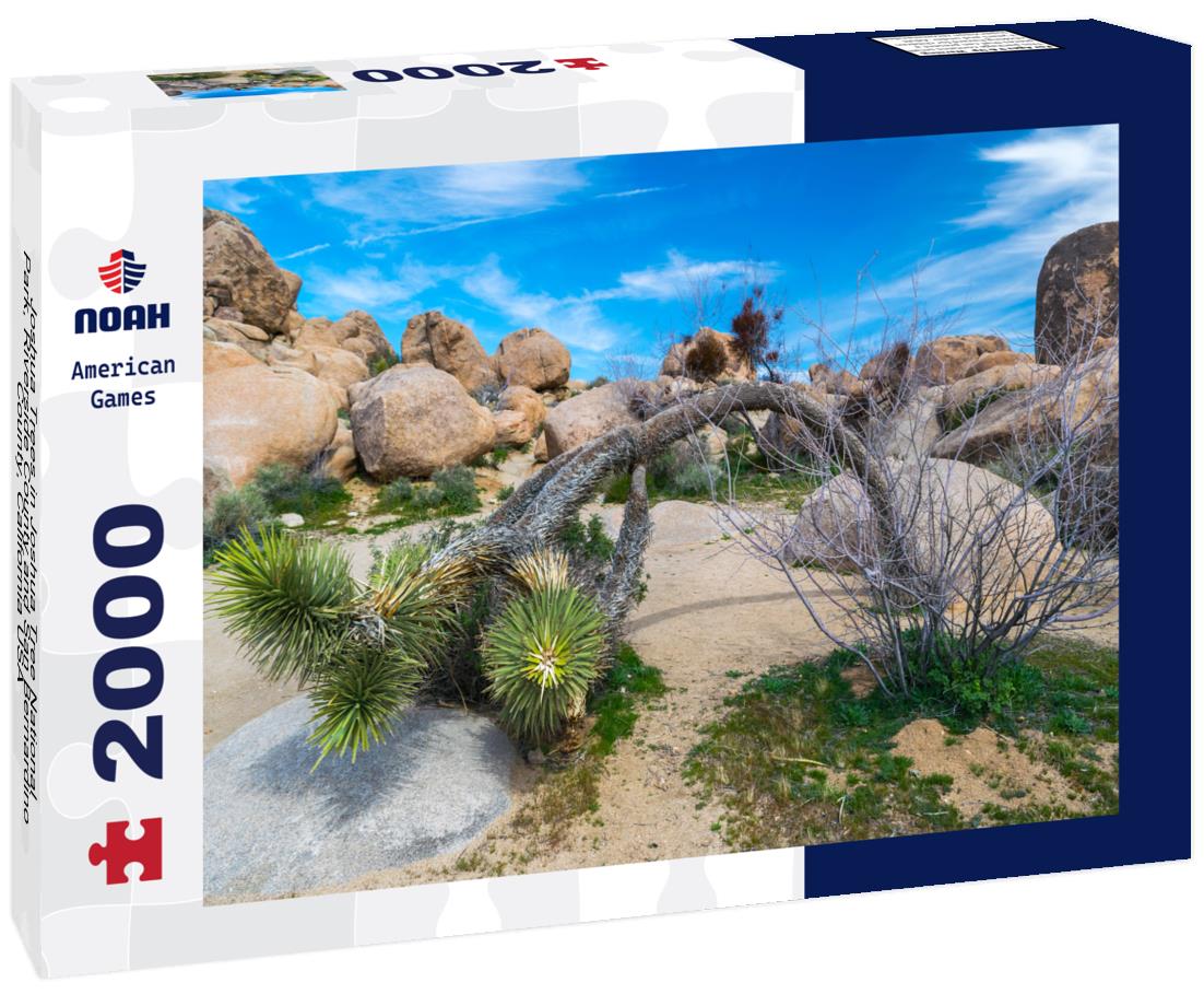 Noah Jigsaw Puzzle Joshua Trees in Joshua Tree National Park, Riverside County and San Bernardino County, California USA 2000 pieces
