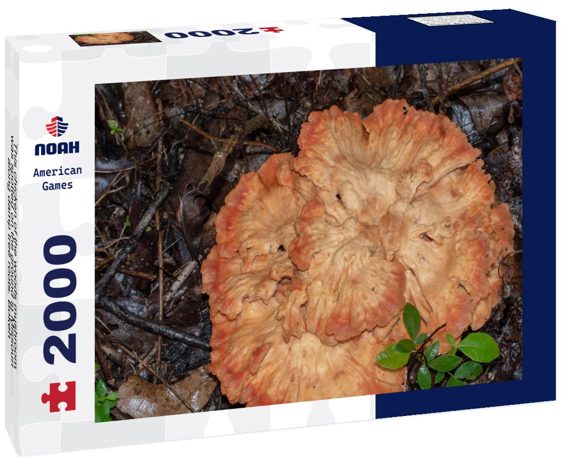 Noah Jigsaw Puzzle This chicken of the woods mushroom was spotted on the ground in Missouri along damp tree roots. Bokeh 2000 pieces