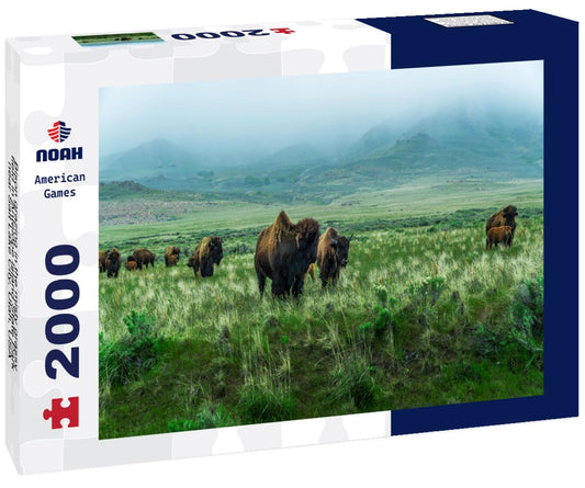 Noah Jigsaw Puzzle Bison grazing in the misty grassy field in Antelope Island State Park, near Salt Lake City, Utah, USA 2000 pieces