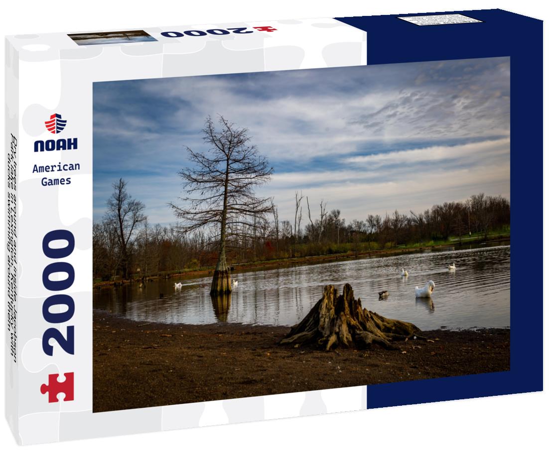 Noah Jigsaw Puzzle Dry trees around and inside Jacobson Park lake in Lexington, Kentucky with ducks swimming around them 2000 pieces