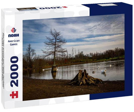 Noah Jigsaw Puzzle Dry trees around and inside Jacobson Park lake in Lexington, Kentucky with ducks swimming around them 2000 pieces