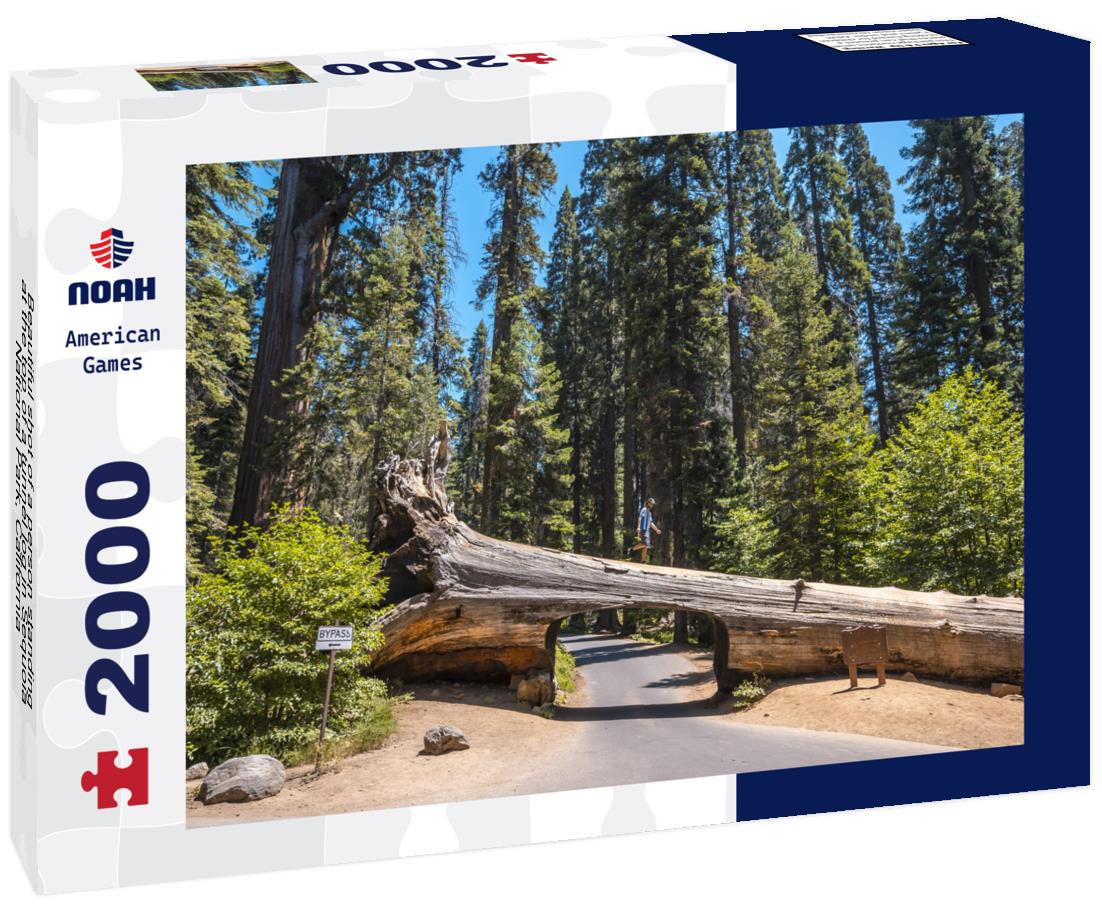 Noah Jigsaw Puzzle Beautiful shot of a person standing at the top of a tunnel log in Sequoia National Park, California 2000 pieces